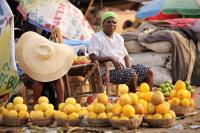 Food and Market Vendors